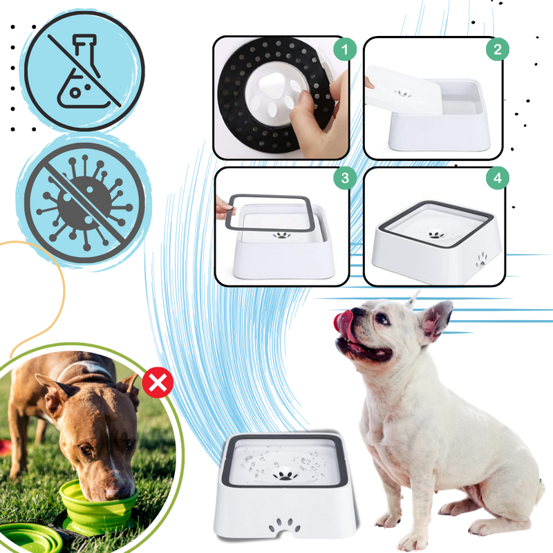 Gamelle anti-éclaboussures pour chiens