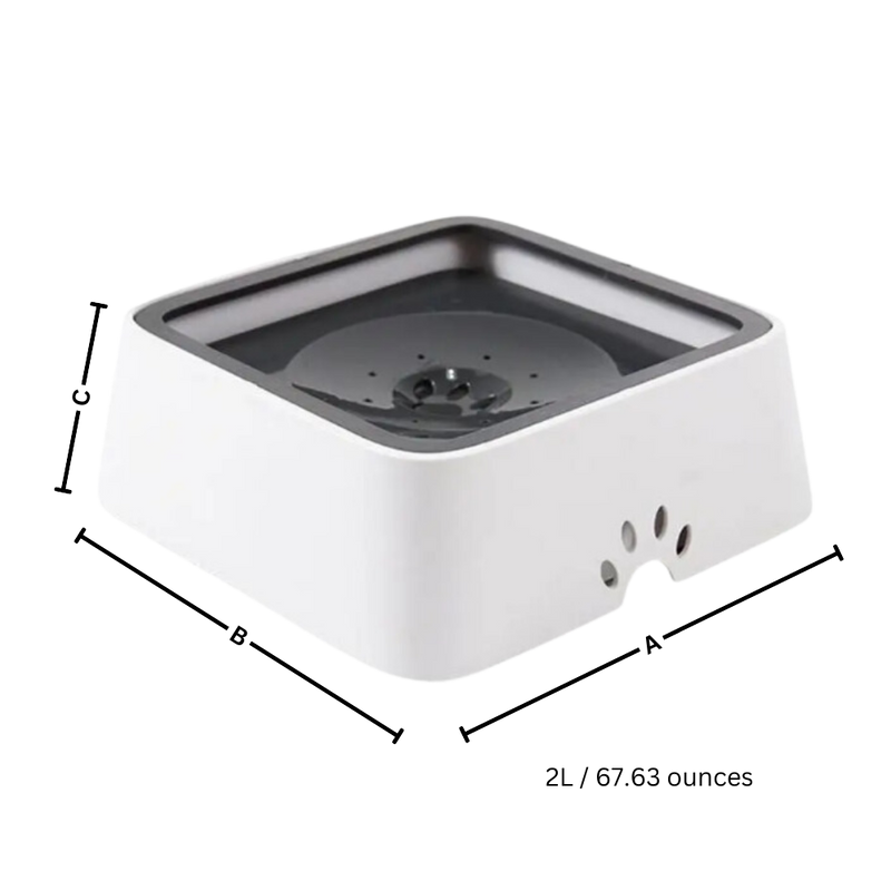 Gamelle anti-éclaboussures pour chiens