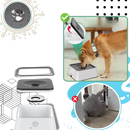 Gamelle anti-éclaboussures pour chiens