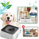 Gamelle anti-éclaboussures pour chiens