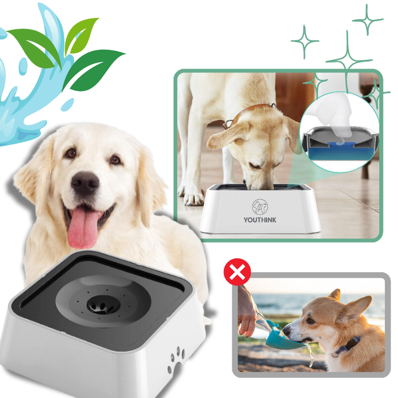 Gamelle anti-éclaboussures pour chiens