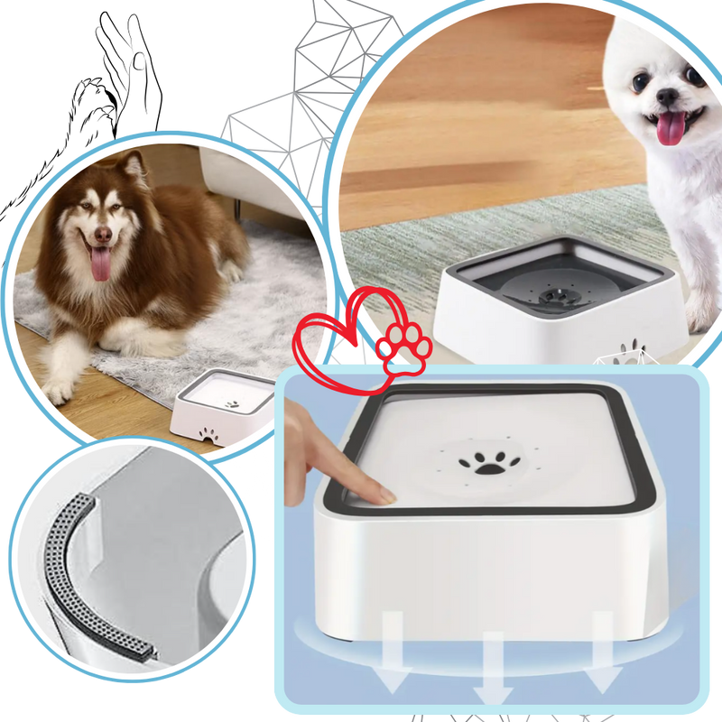 Gamelle anti-éclaboussures pour chiens